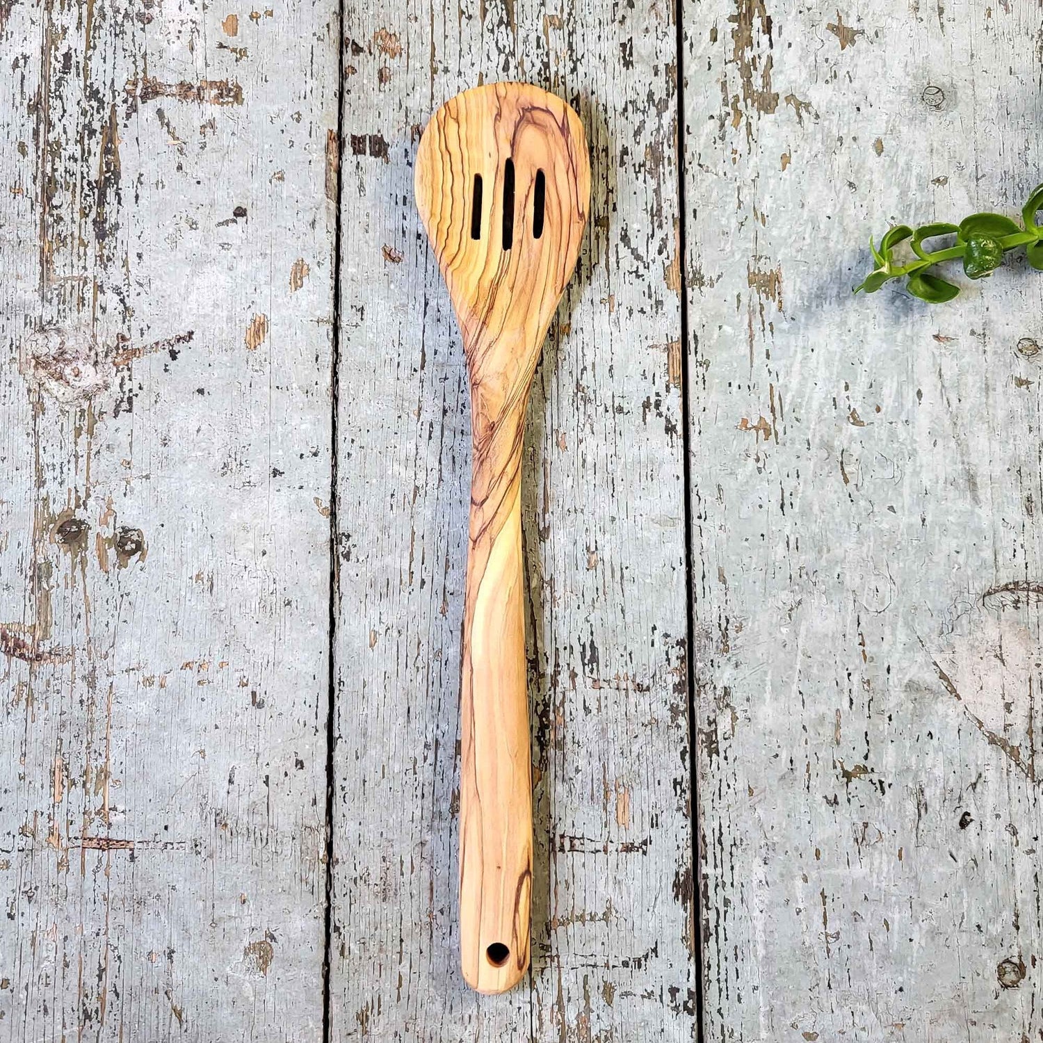 Olive Wood