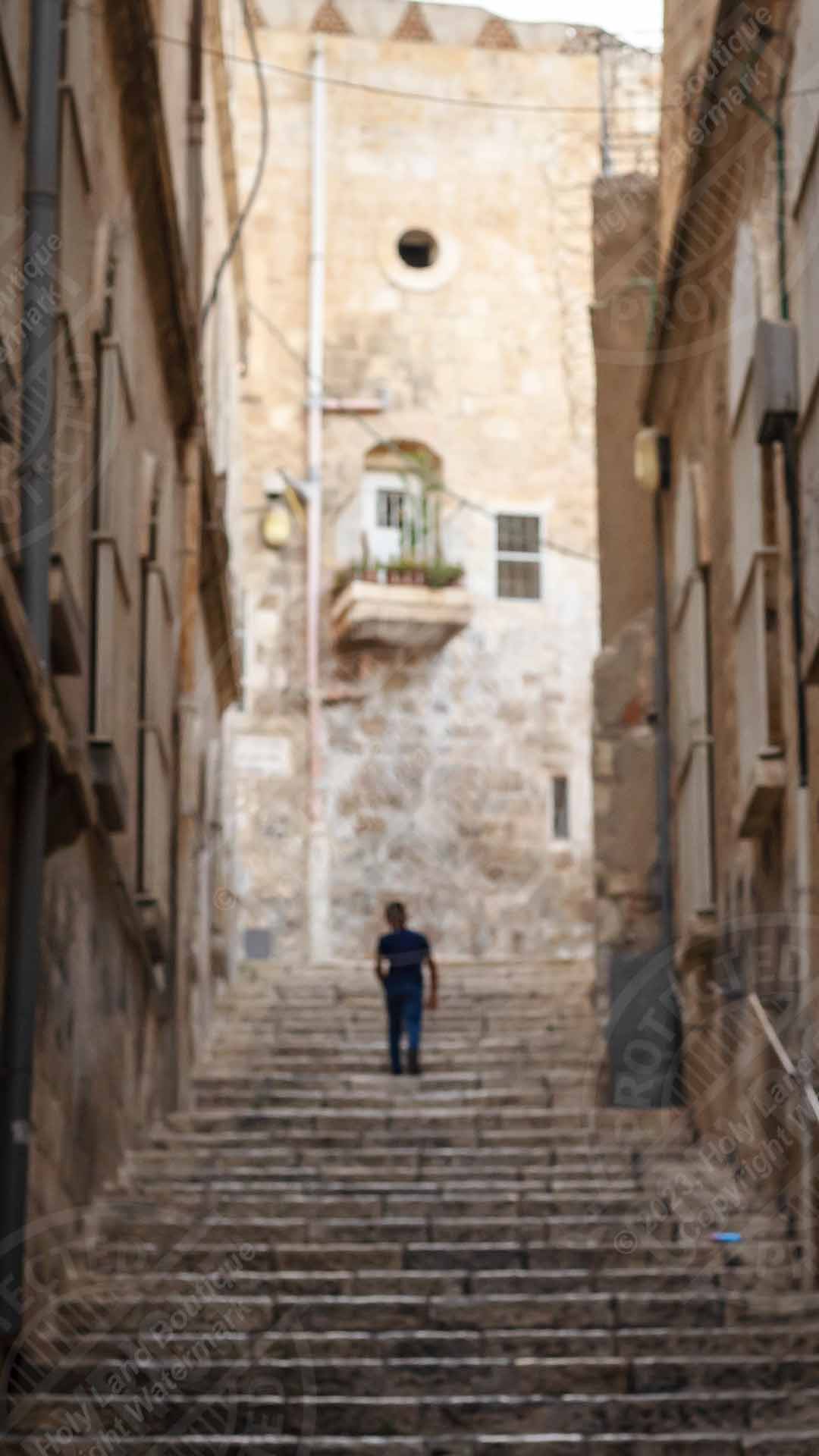 Alley-Lure