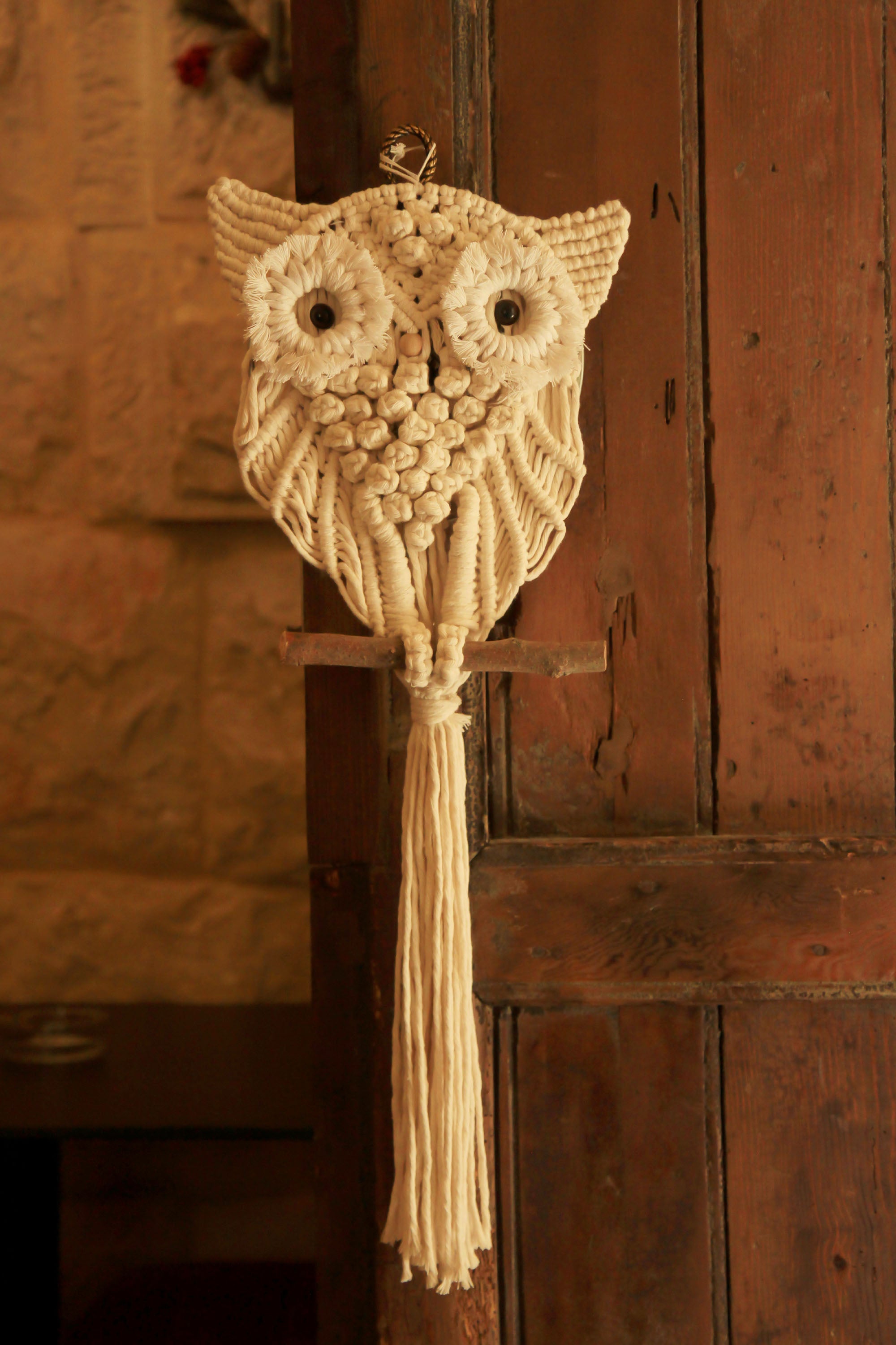 Iconic Vision Macramé Owl Wall Hanger