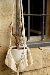 Old School Macramé Fringe Plant Hanger