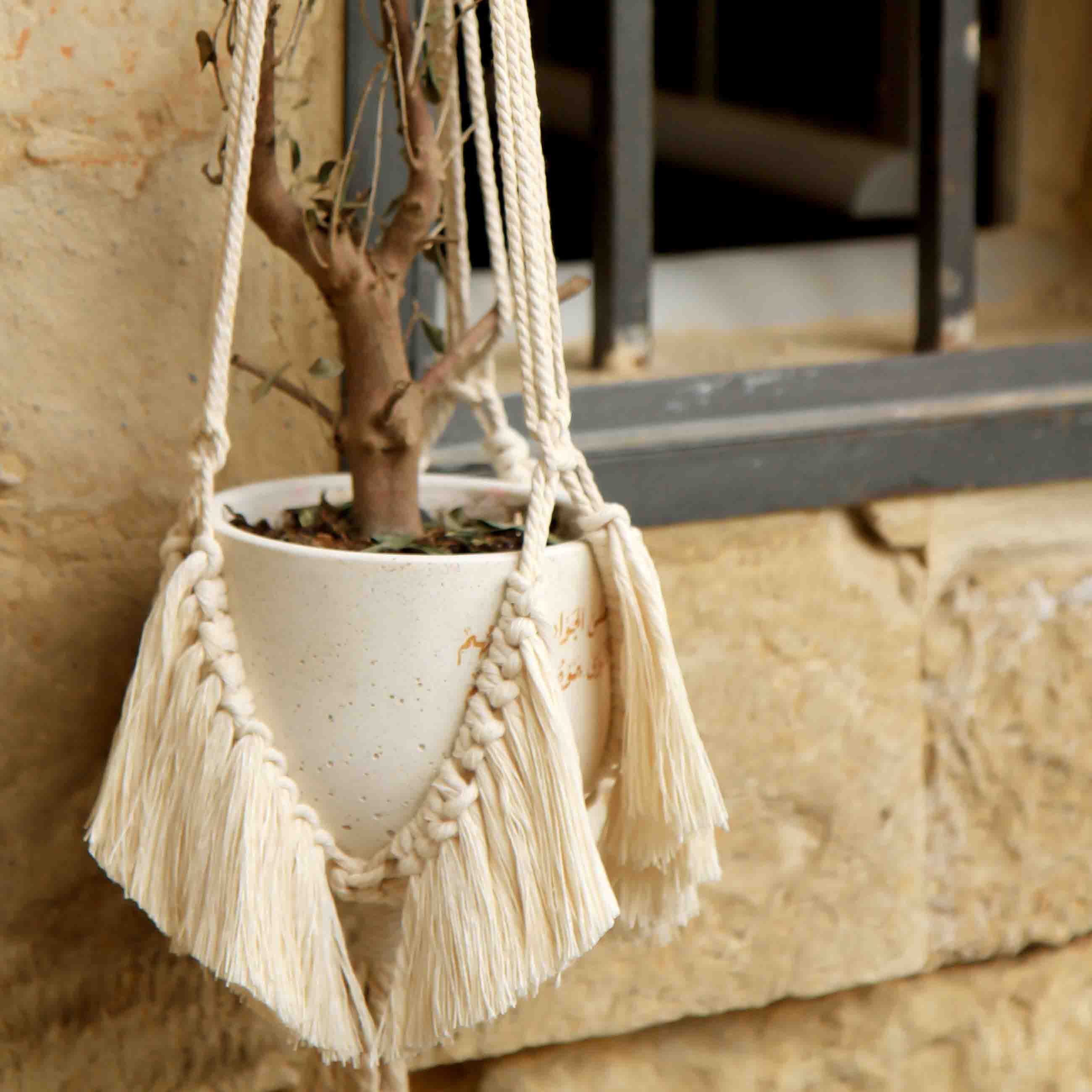 Old School Macramé Fringe Plant Hanger