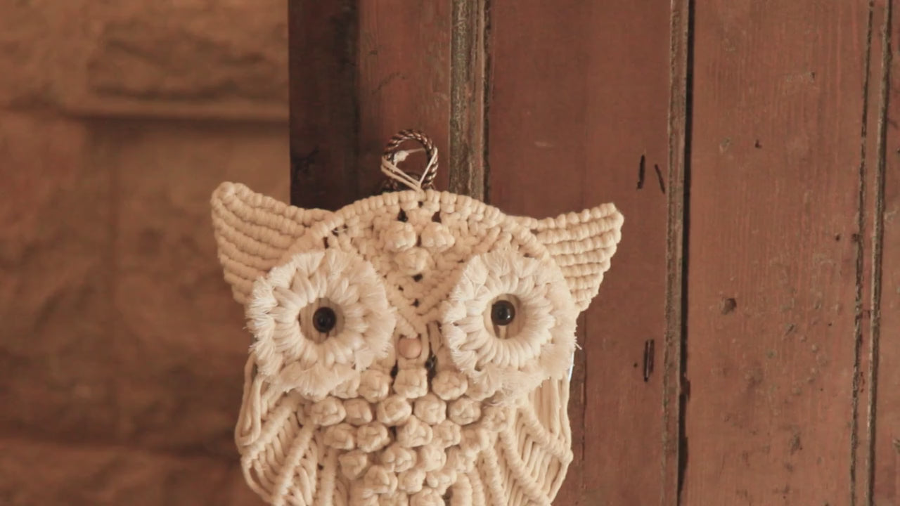 Iconic Vision Macramé Owl Wall Hanger